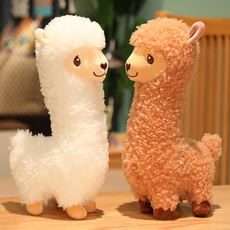 Cuddly llama store