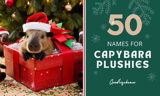 Capybara Plushies | Capybara Plush