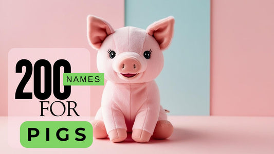 200+ Names for Your Stuffed Animal Pig Plush