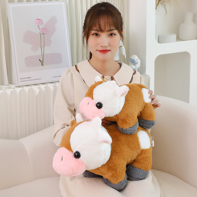 Hayley: Cute Cow Plushie | Stuffed Animal Cow