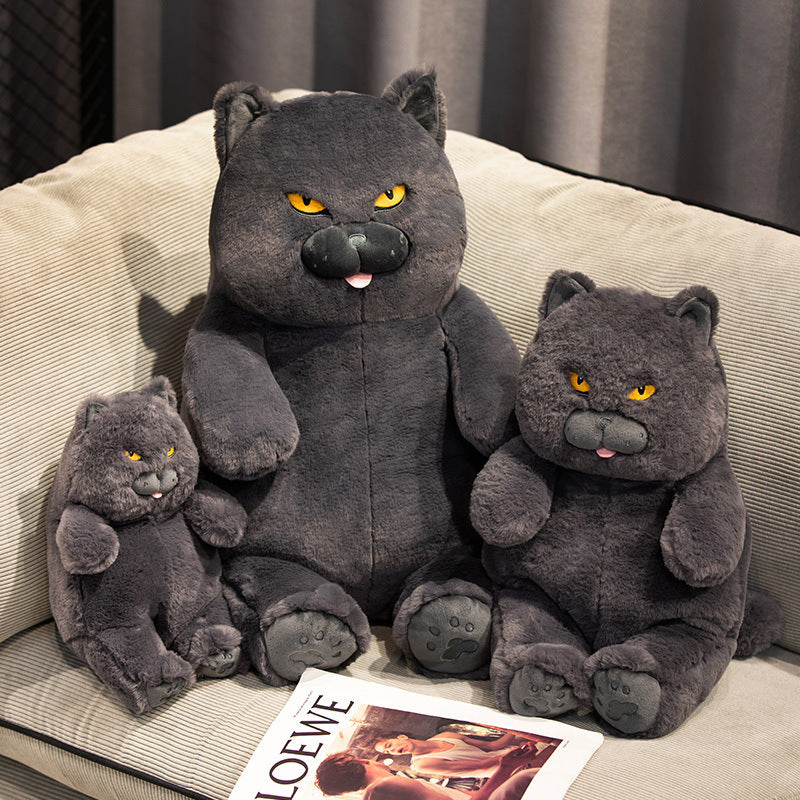 Giant Mad Cat Plush | Angry Cat Plushies